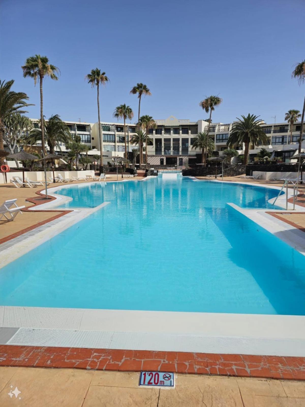 Apartment La Palmera: Beachfront With Pool View