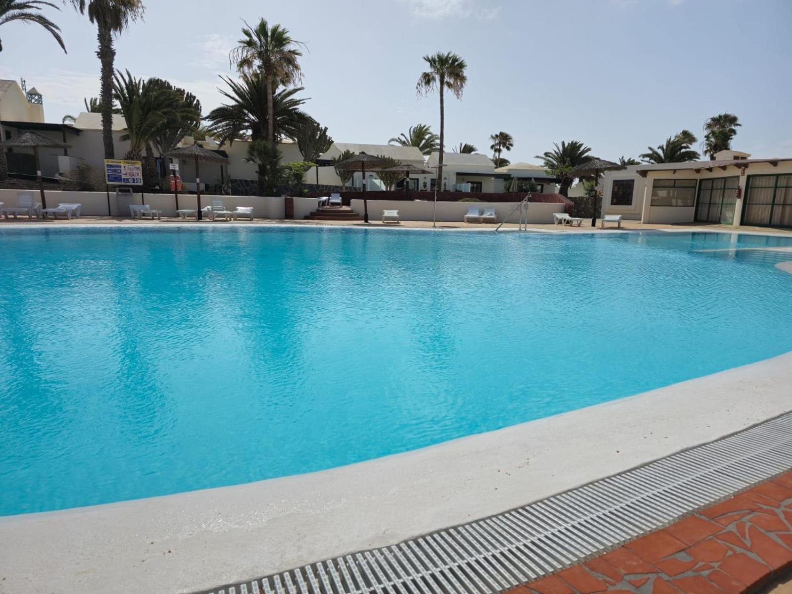 La Palmera: Beachfront With Pool View Apartment
